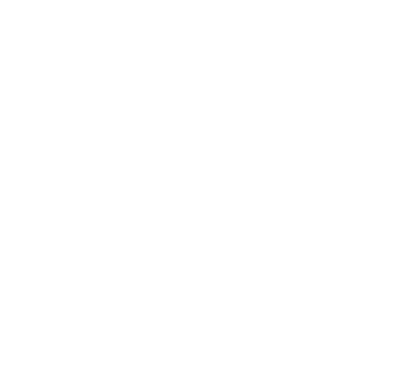 UDD Urban Drone Defence